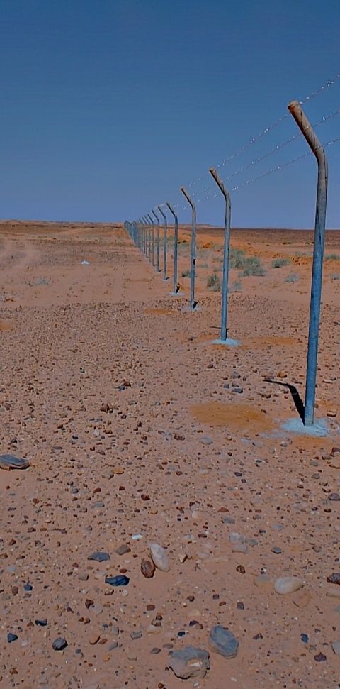 ابو صالح مقاول الشبوك والزراعة 0553490362 التوصل