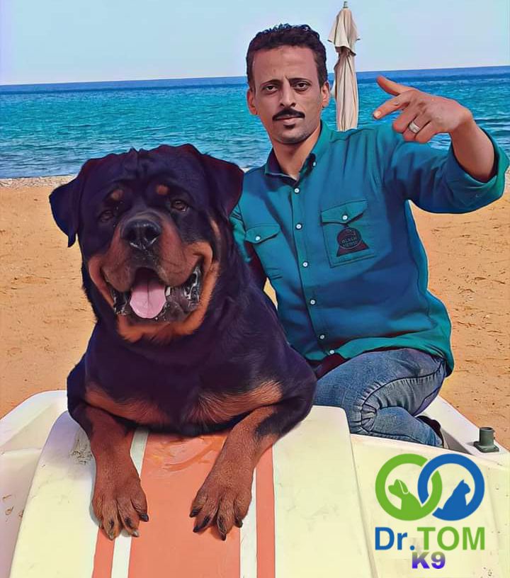 العرباوي لتدريب كلاب الحراسة