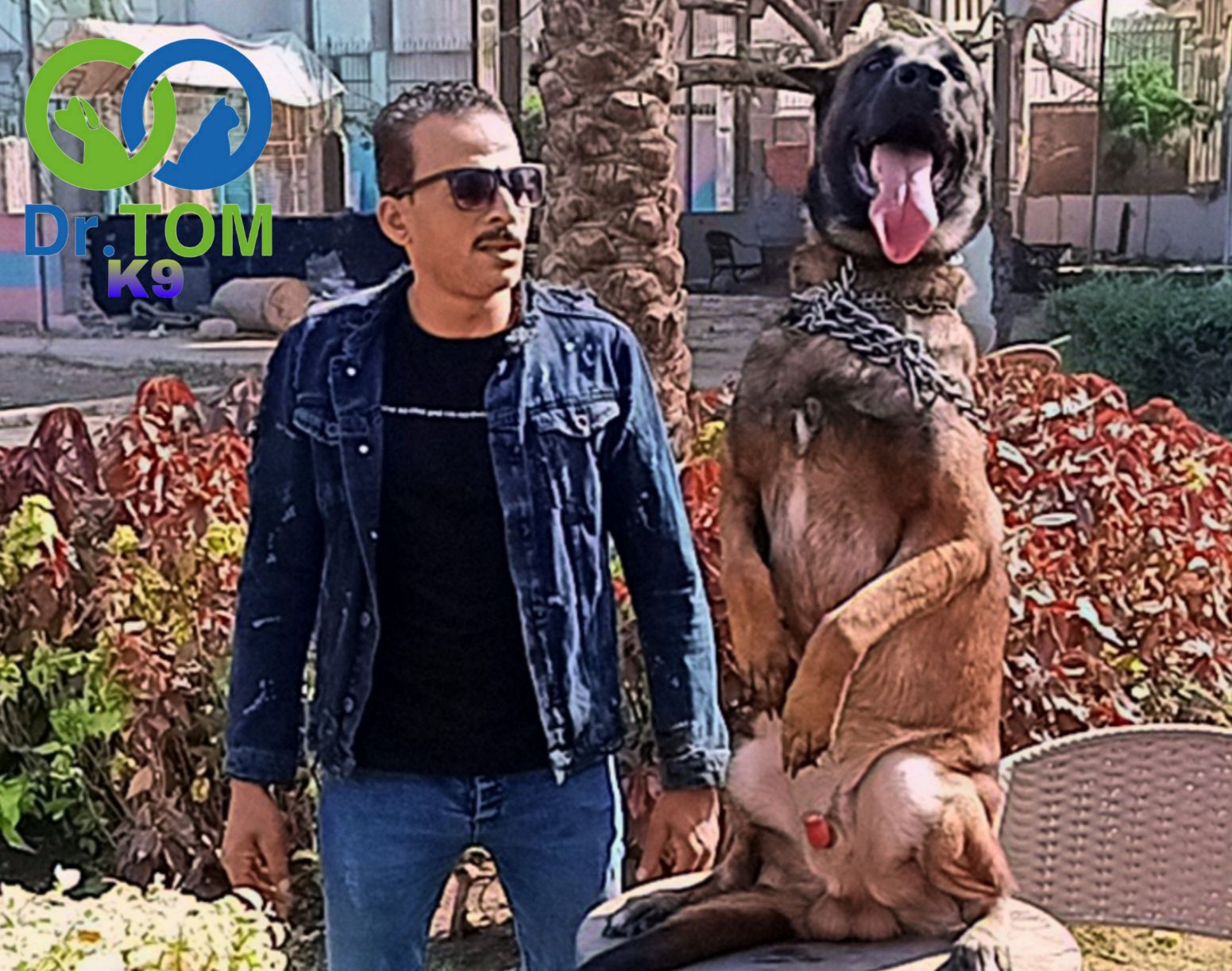 العرباوي لتدريب كلاب الحراسة