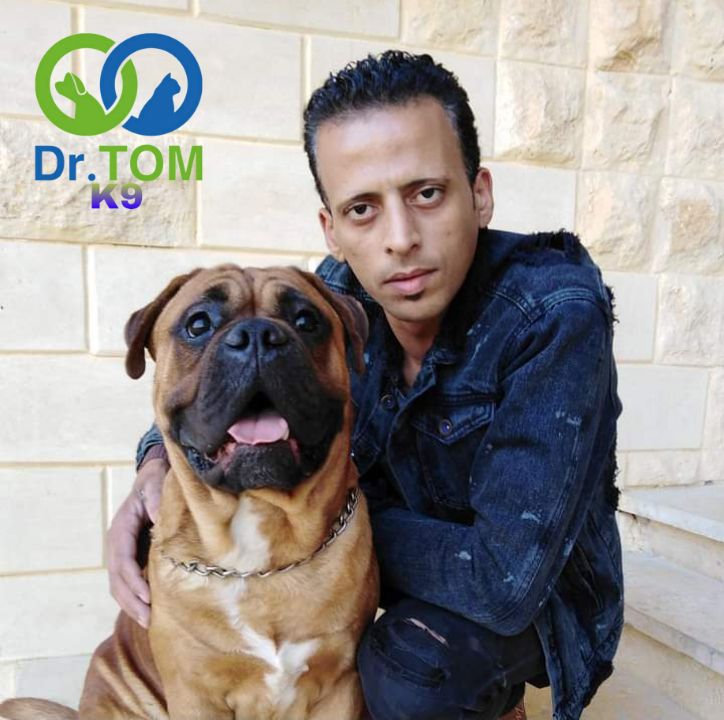 تدريب كلاب الحراسة بالرياض