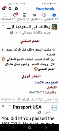 هيثم عكاشة