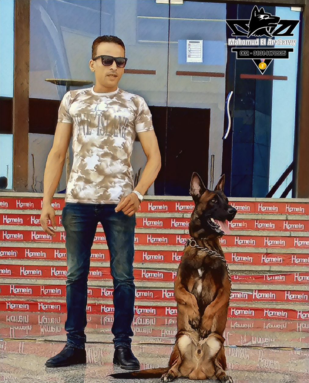 مدرب كلاب متخصص تدريب وتأهيل الكلاب بالأمر والإشار