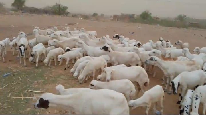 يوجد لدينا مقاني مناتيج ودفيع