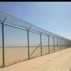 1a42d34d-e24e-456e-af81-28b46cfecaaf