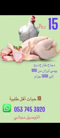 دجاج لاحم