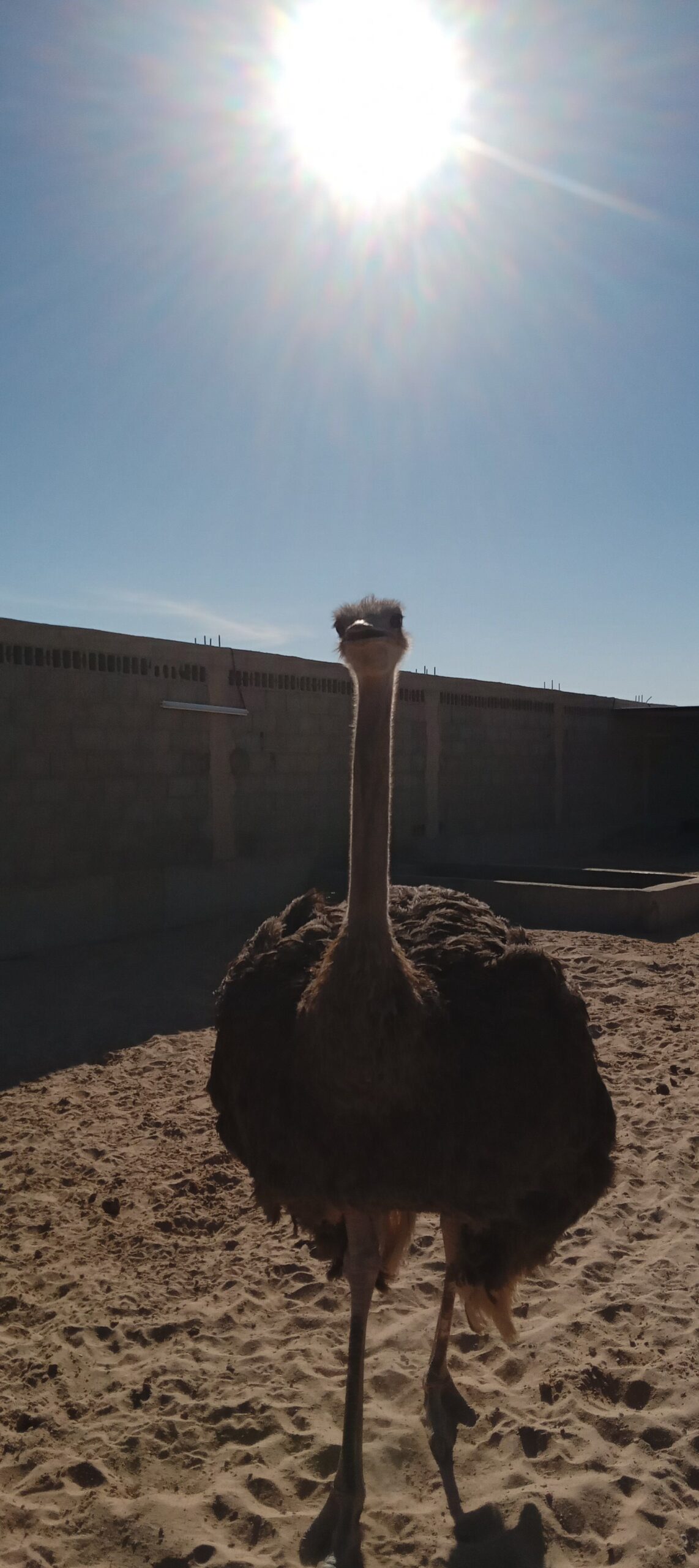 المنطقه الشرقيه مدينة السعيره