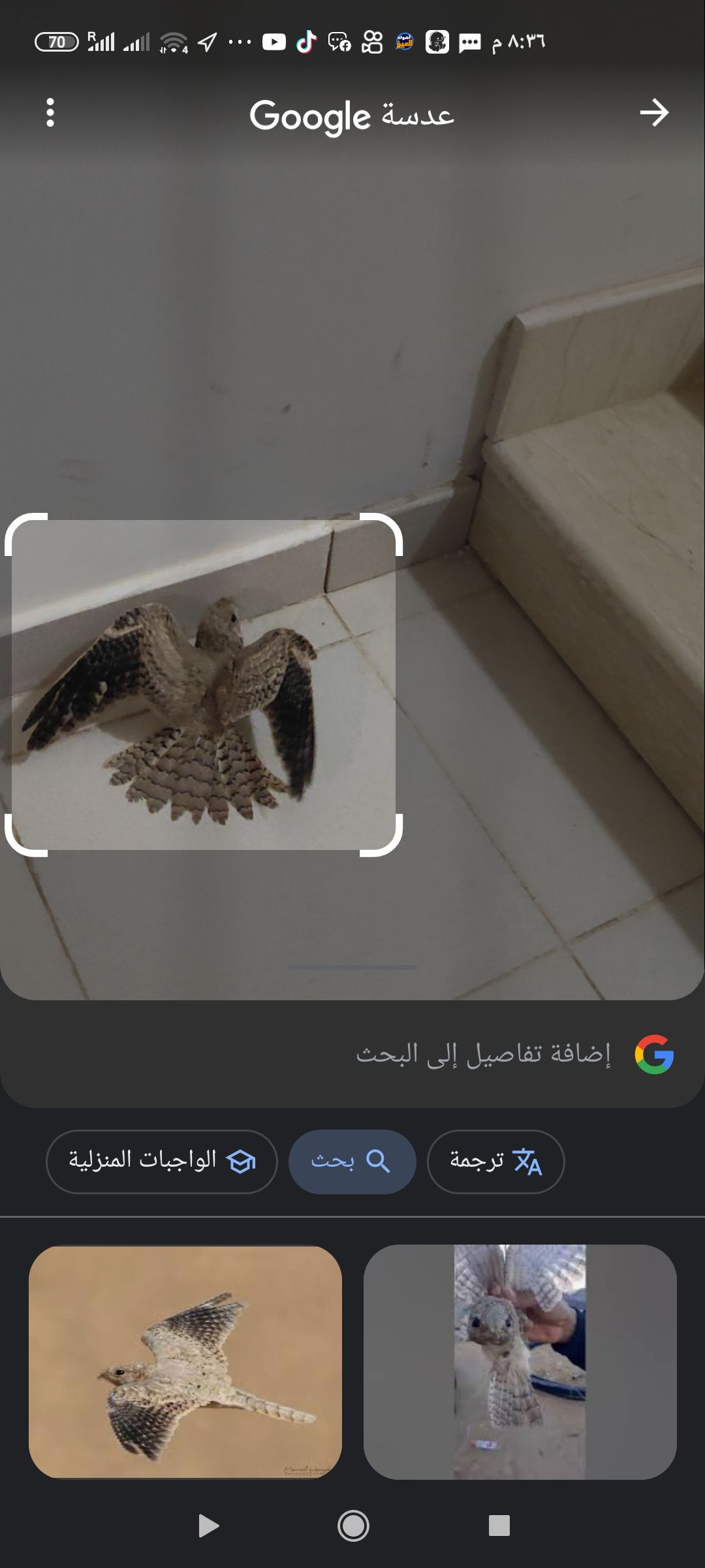 الرياض الافلاج حي العزيزه