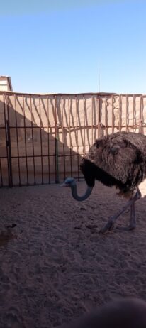 المنطقه الشرقيه مدينة السعيره