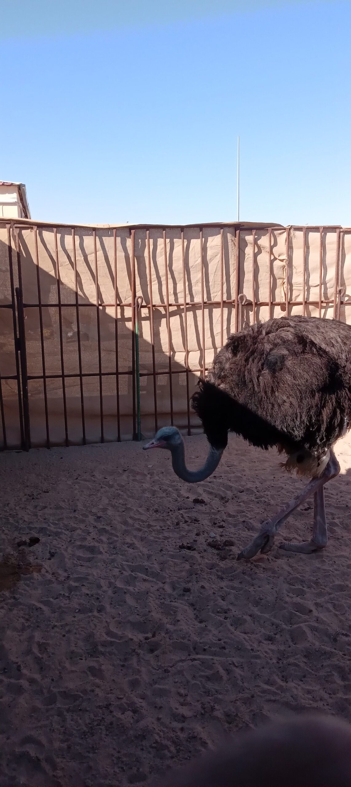 المنطقه الشرقيه مدينة السعيره