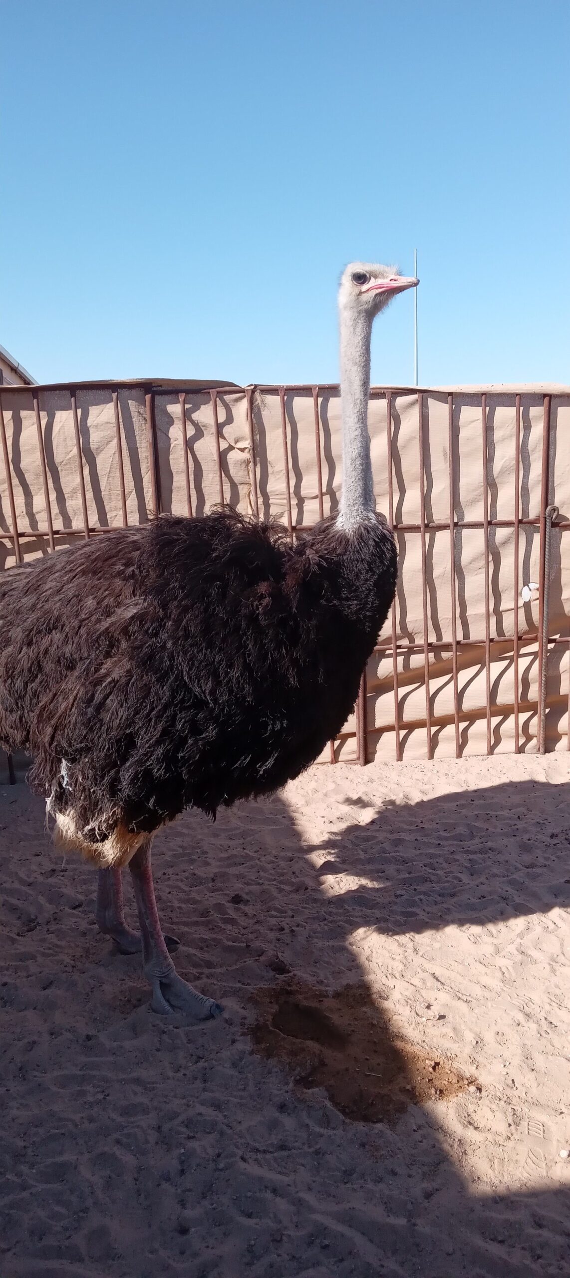 المنطقه الشرقيه مدينة السعيره