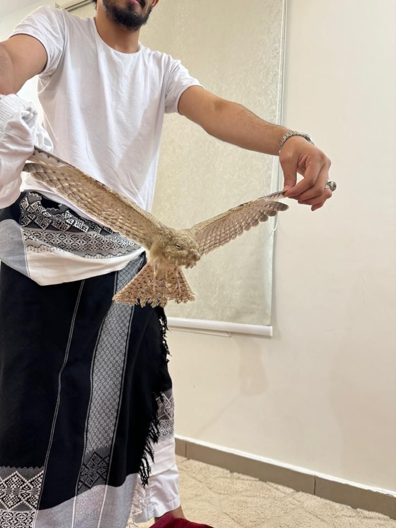 الرياض الافلاج حي العزيزه