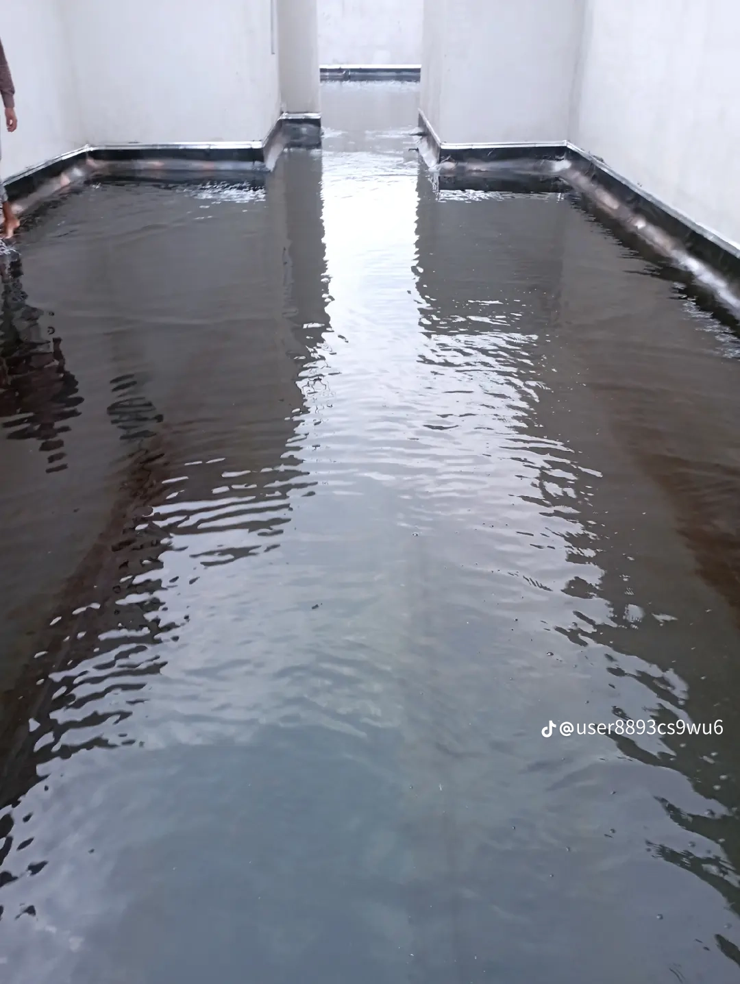 جده مكه الطايف