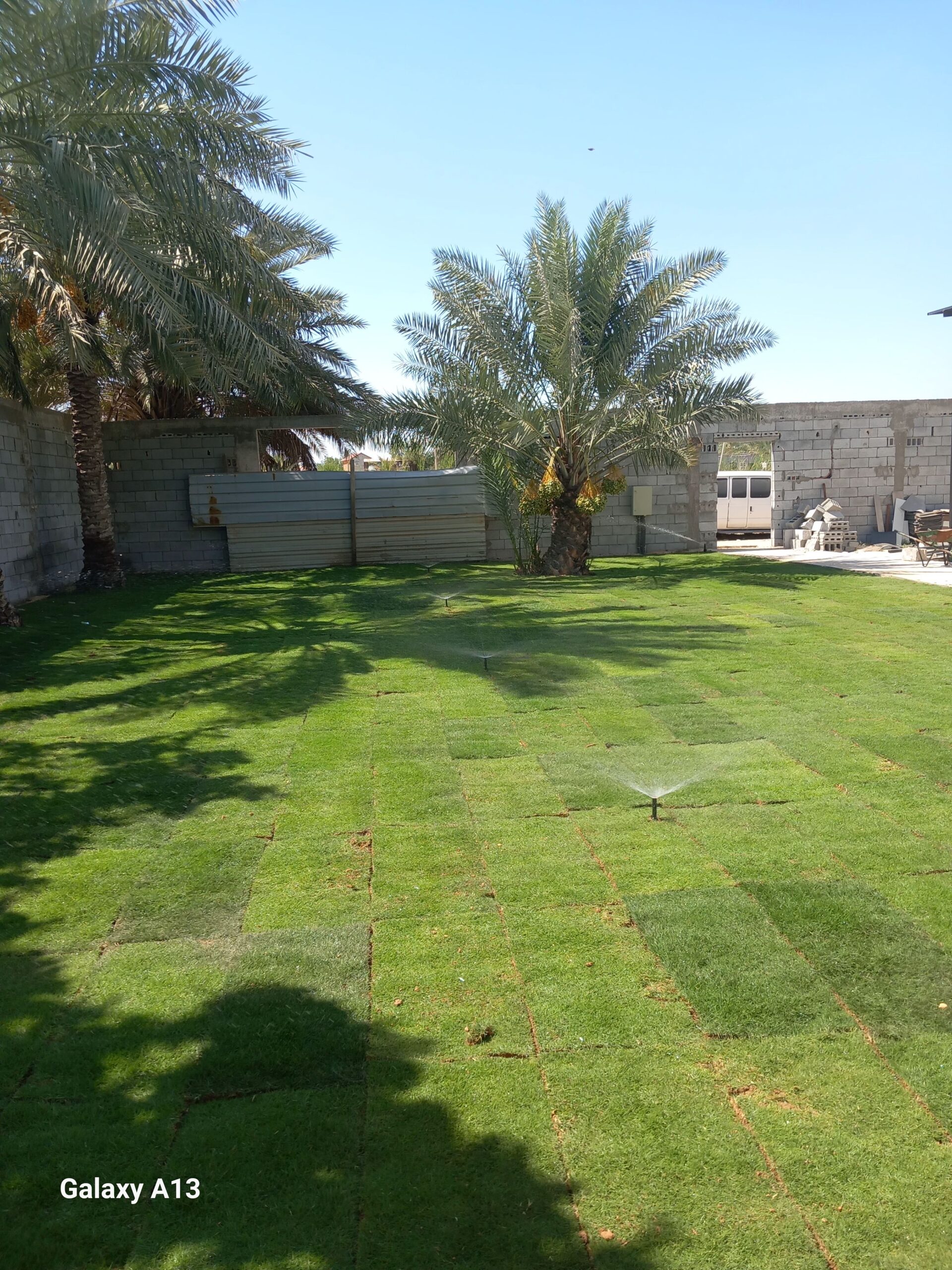 تنسيق حدائق وتعديل جميع انواع النخيل والاشجار