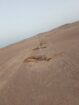 الرياض