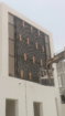 الرياض