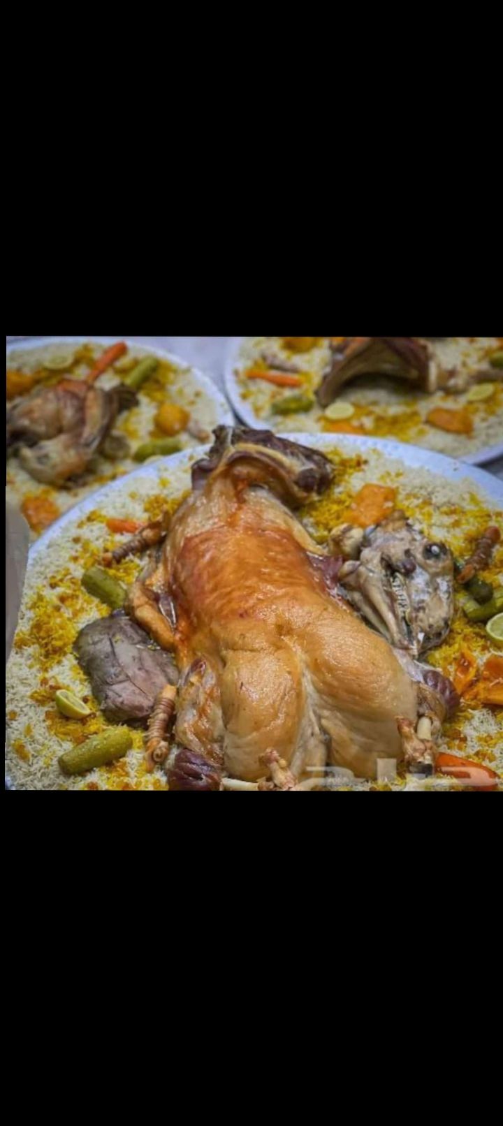 أبو خالد طباخ متنقل داخل وخارج الرياض