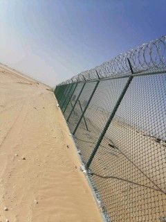 الرياض