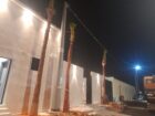 توريد زراعة واشنطونياء جميع مقاسات