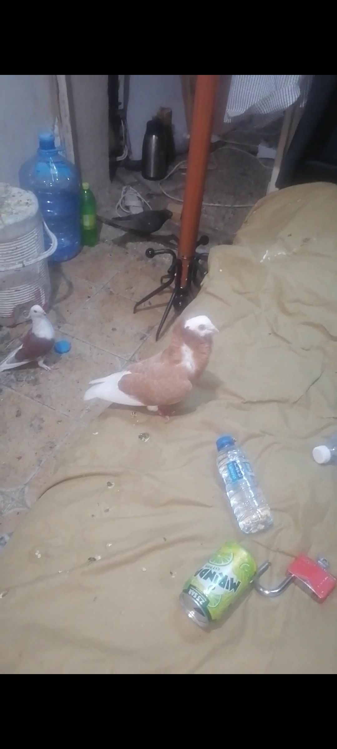 مكه المكرمه