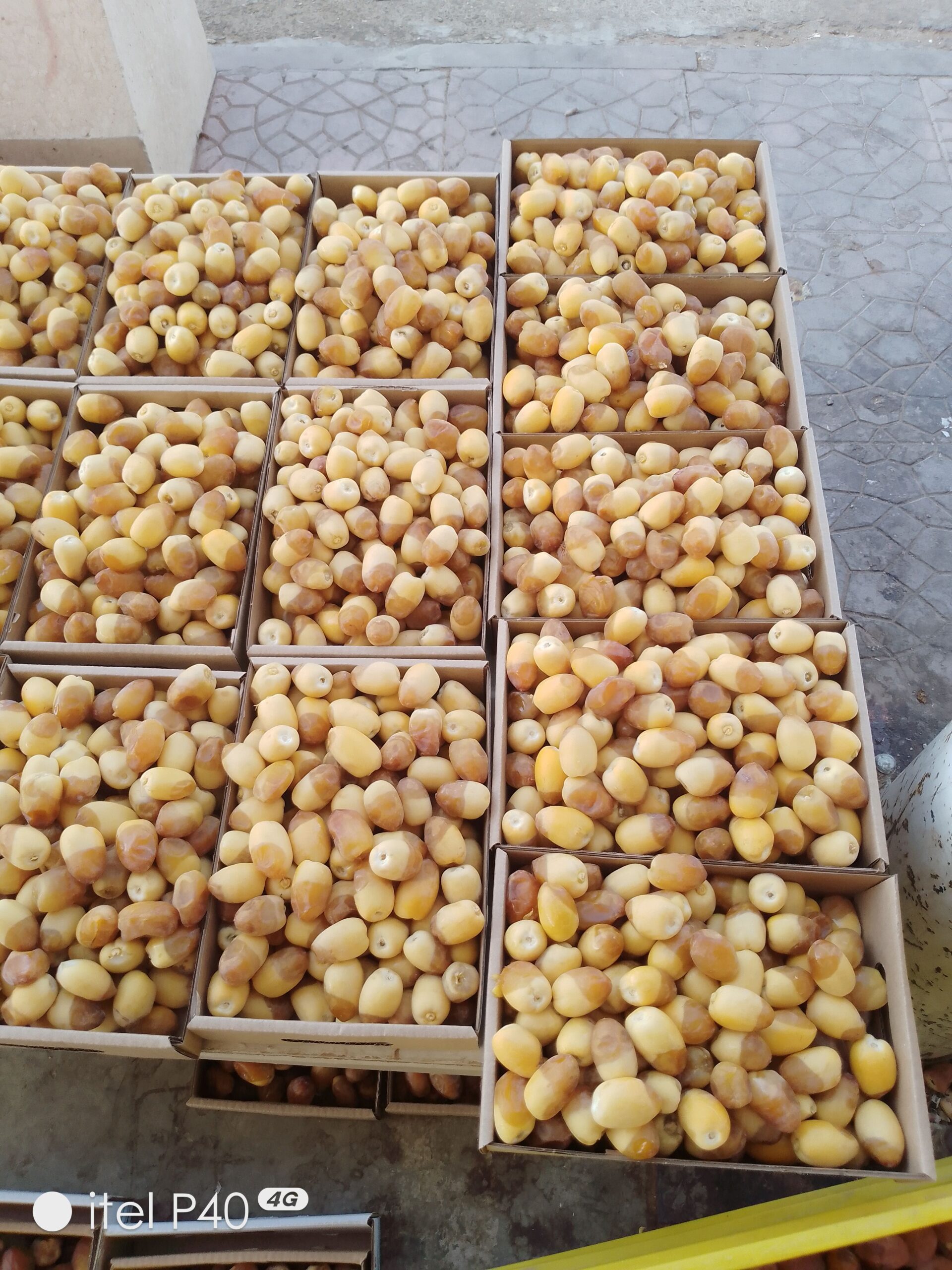 ابو فرج لتوريد النخيل قلعة و غرس وتركيب الشبوك