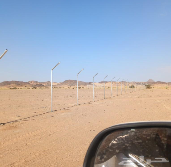 مقاول شبوك ونخيل