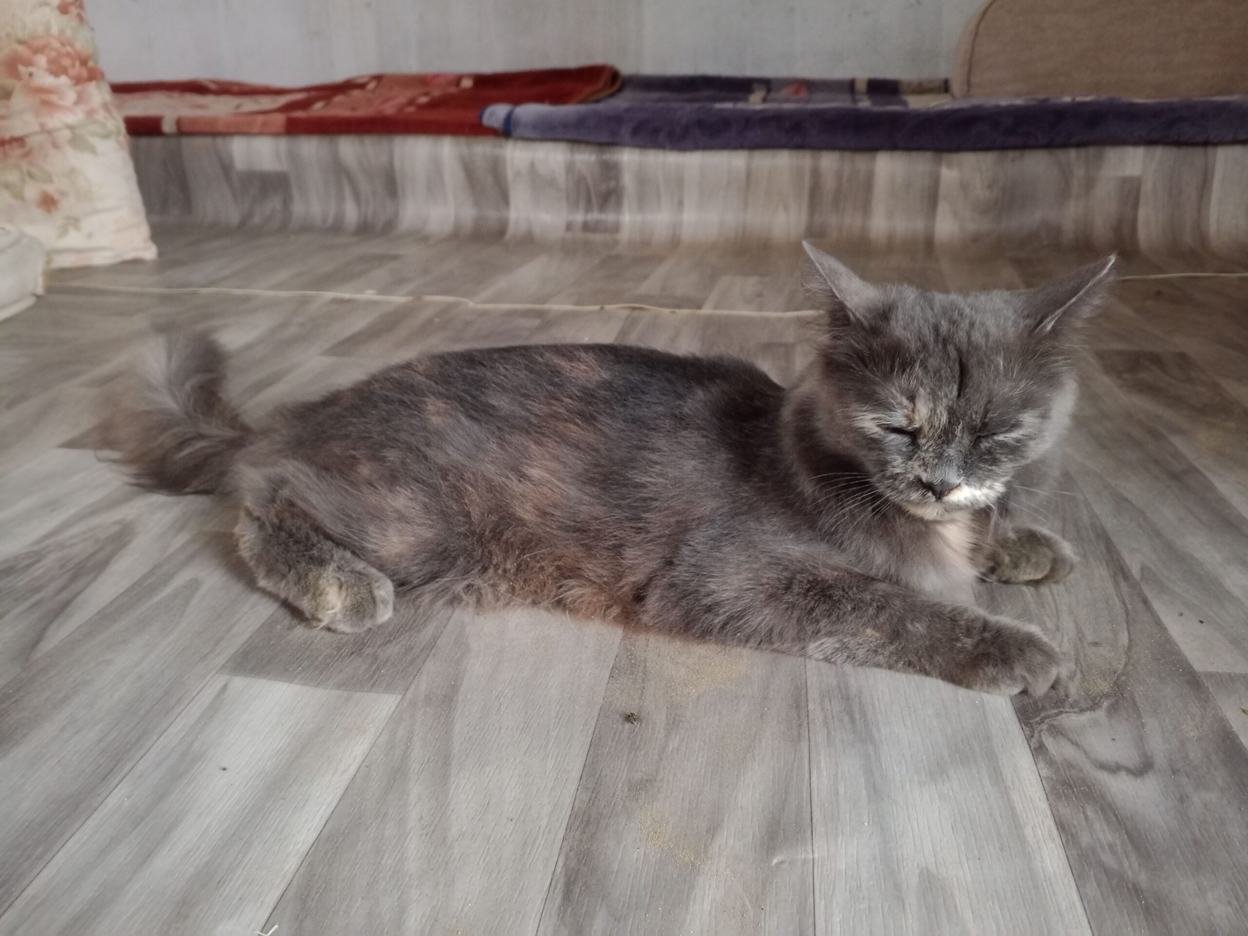 القنفذة قريه الرحمن على الخط العام