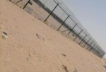الرياض