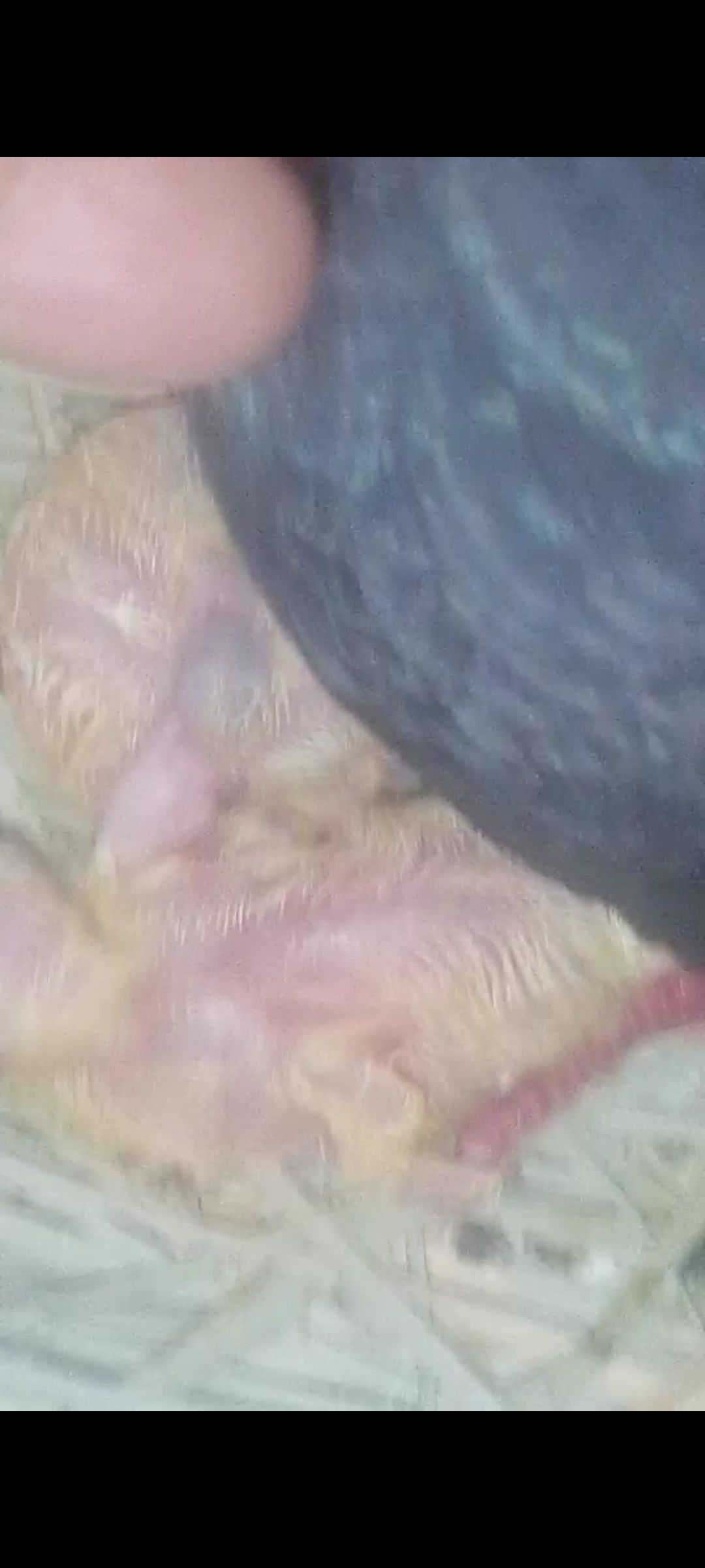 مكه المكرمه