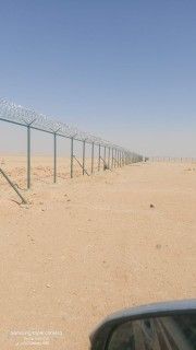 الرياض