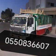 88853e1d-976c-41d8-8566-51e626bc75e0