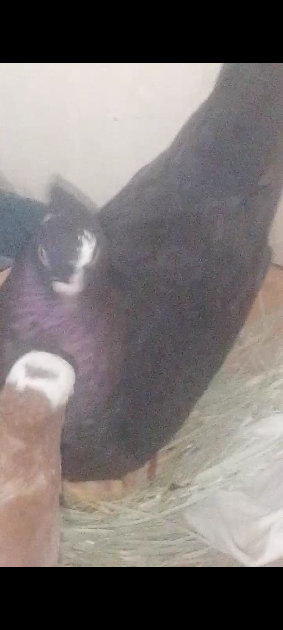 مكه المكرمه