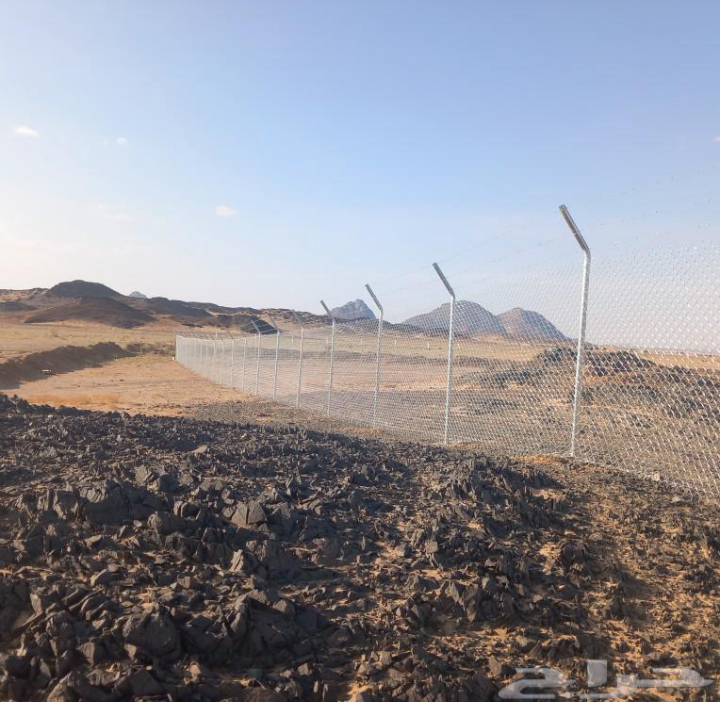 مقاول شبوك ونخيل