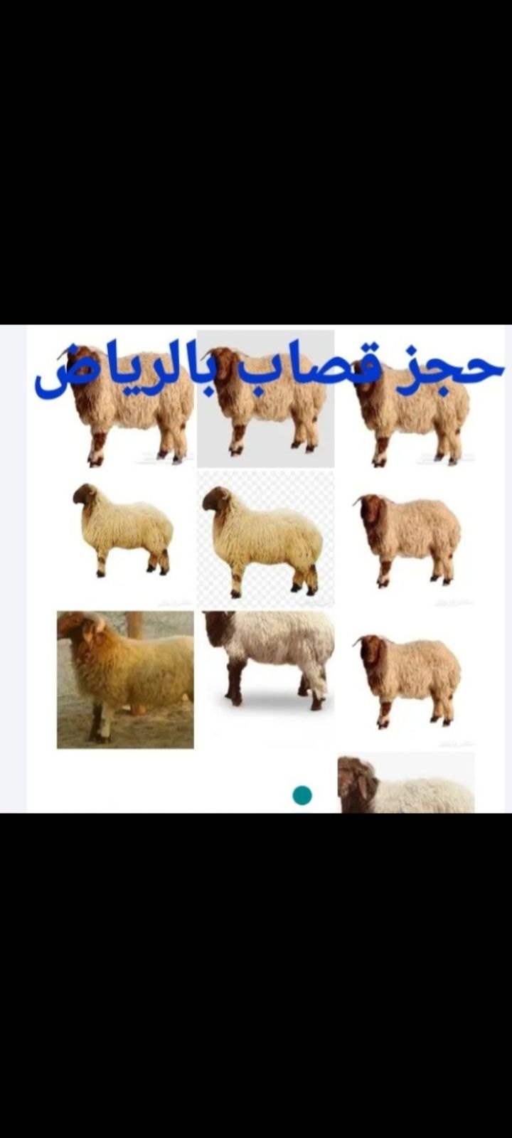 قصابين بالرياض افضل قصابين بالرياض 0َ558536273