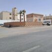 الرياض