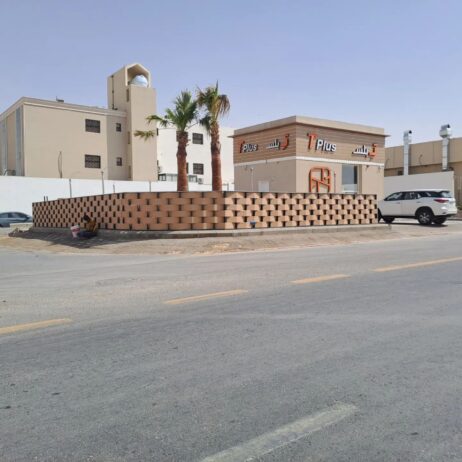 الرياض