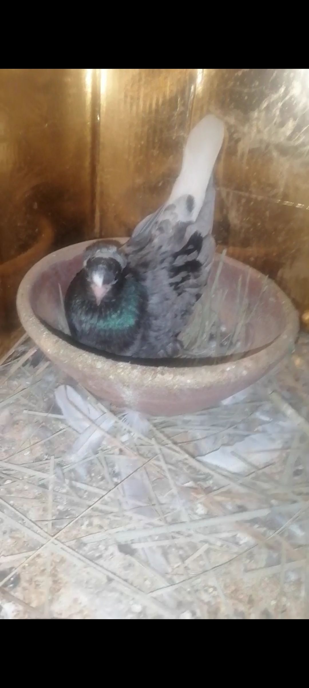 مكه المكرمه