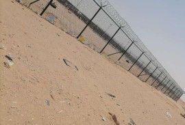 الرياض