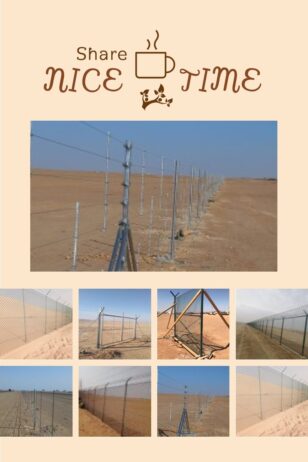 الرياض