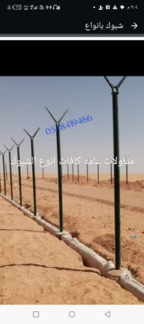 الرياض