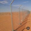 الرياض