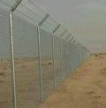 الرياض