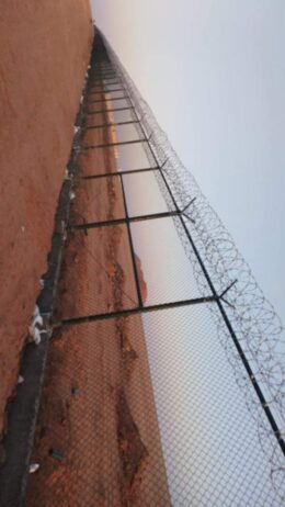 الرياض