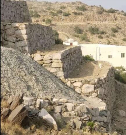 محايل