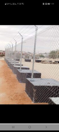 الرياض