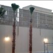 الرياض