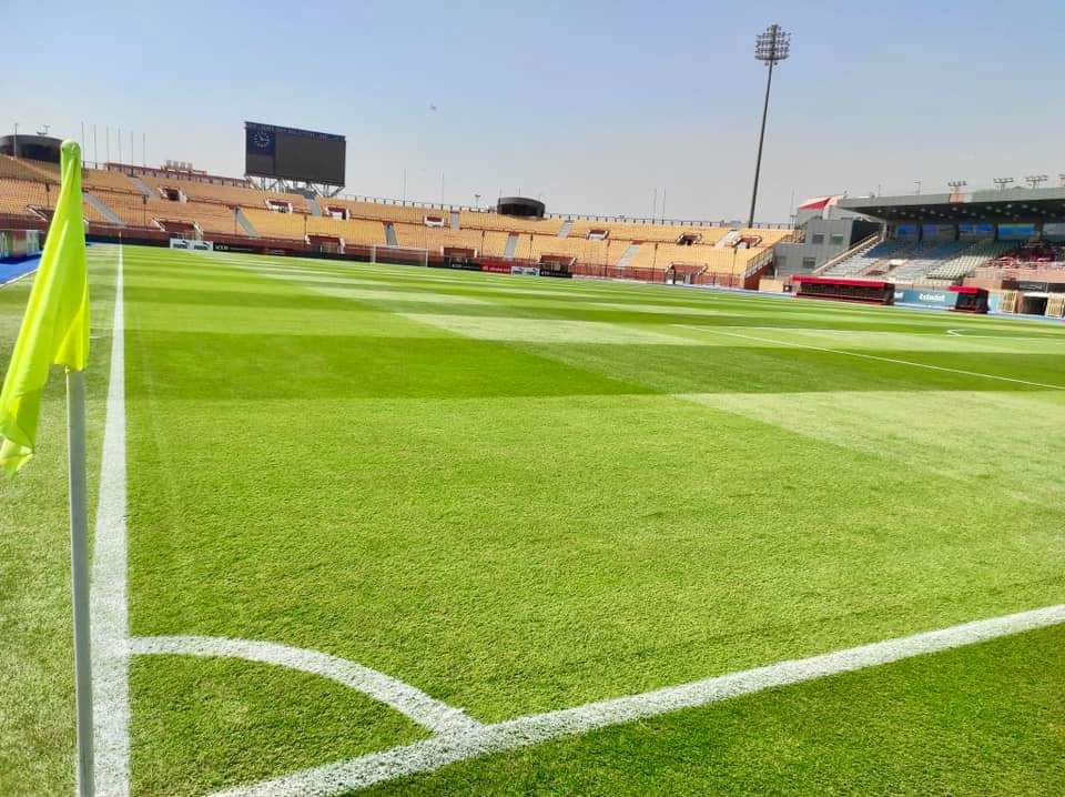 العشب الصناعي، ملاعب كرة القدم وملاعب التجديف