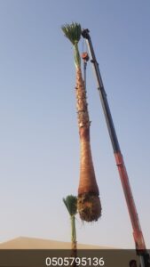 Store Banner
