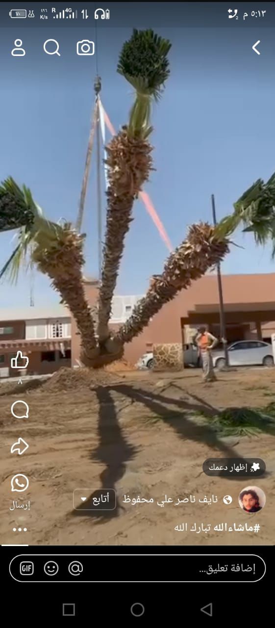 للمقاولات النخيل الوشنط والعربي