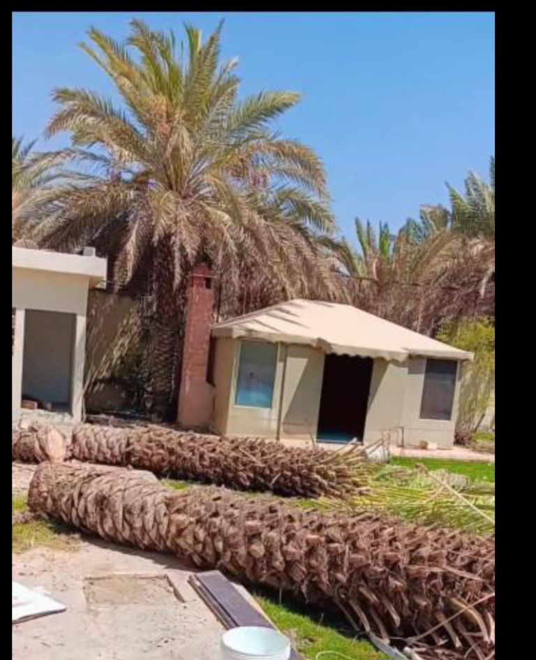 عامل تقطيع الحطب وتشليح الأشجار والنخل المنزل وتحم