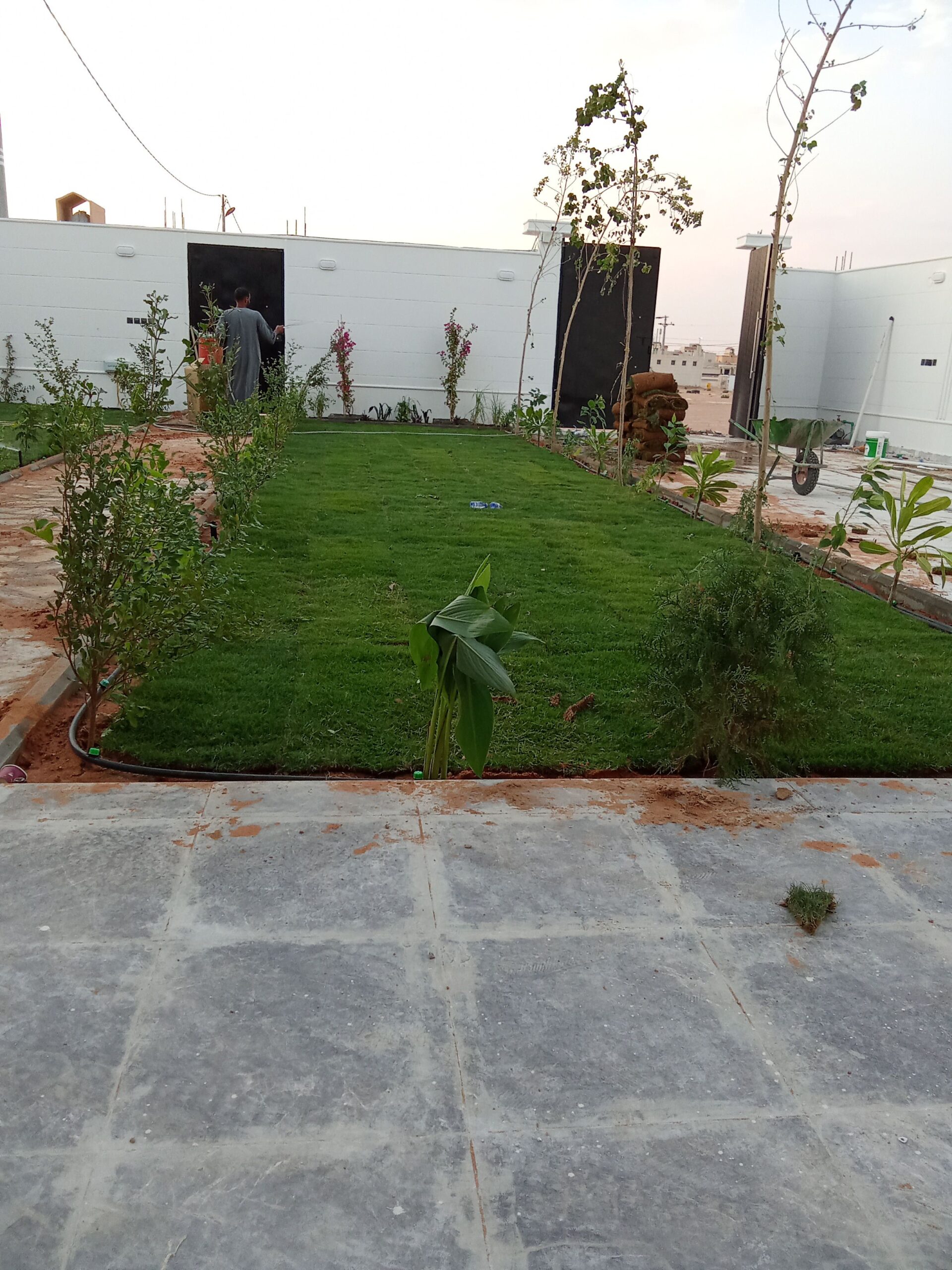 تيل طبيعي وزراعة 0510146026